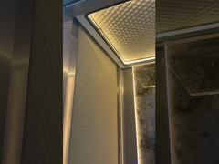 Observación / Elevador panorámico de alta velocidad para pasajeros