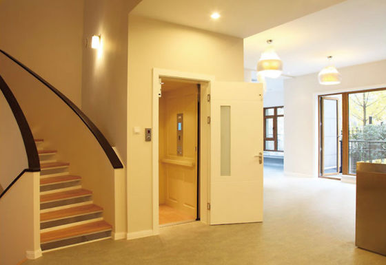 Elevador doméstico de acero inoxidable 304 de bajo ruido con carga de 250-400 kg para villas y uso residencial